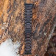 Dřevěný řemínek na hodinky  Apple Watch Band B s gravírováním ZDARMA